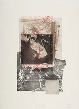 Load image into Gallery viewer, Render I,II,II by John Galvin (triptych)