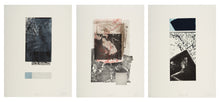 Load image into Gallery viewer, Render I,II,II by John Galvin (triptych)