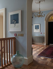 Load image into Gallery viewer, Giottos` Circle by Janet Mullarney