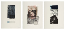 Load image into Gallery viewer, Render I,II,II by John Galvin (triptych)
